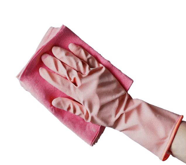 SPECIALŪS VALYMO DARBAI